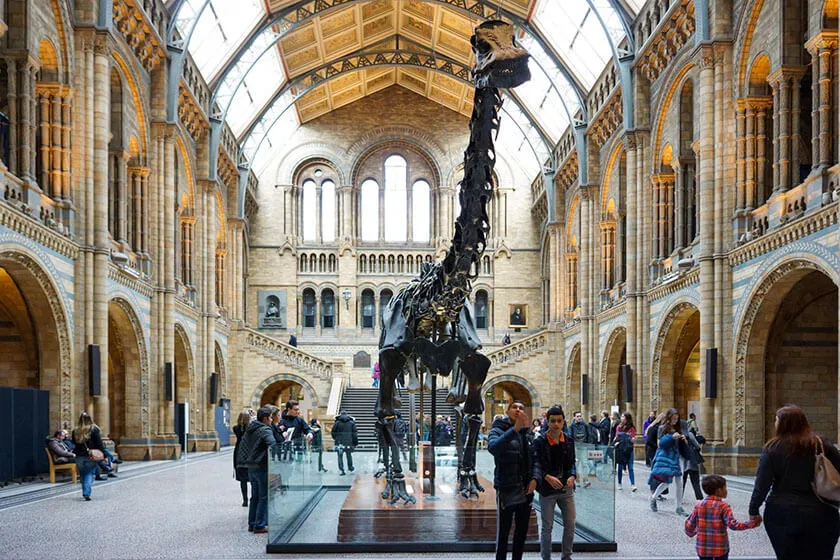 Museums